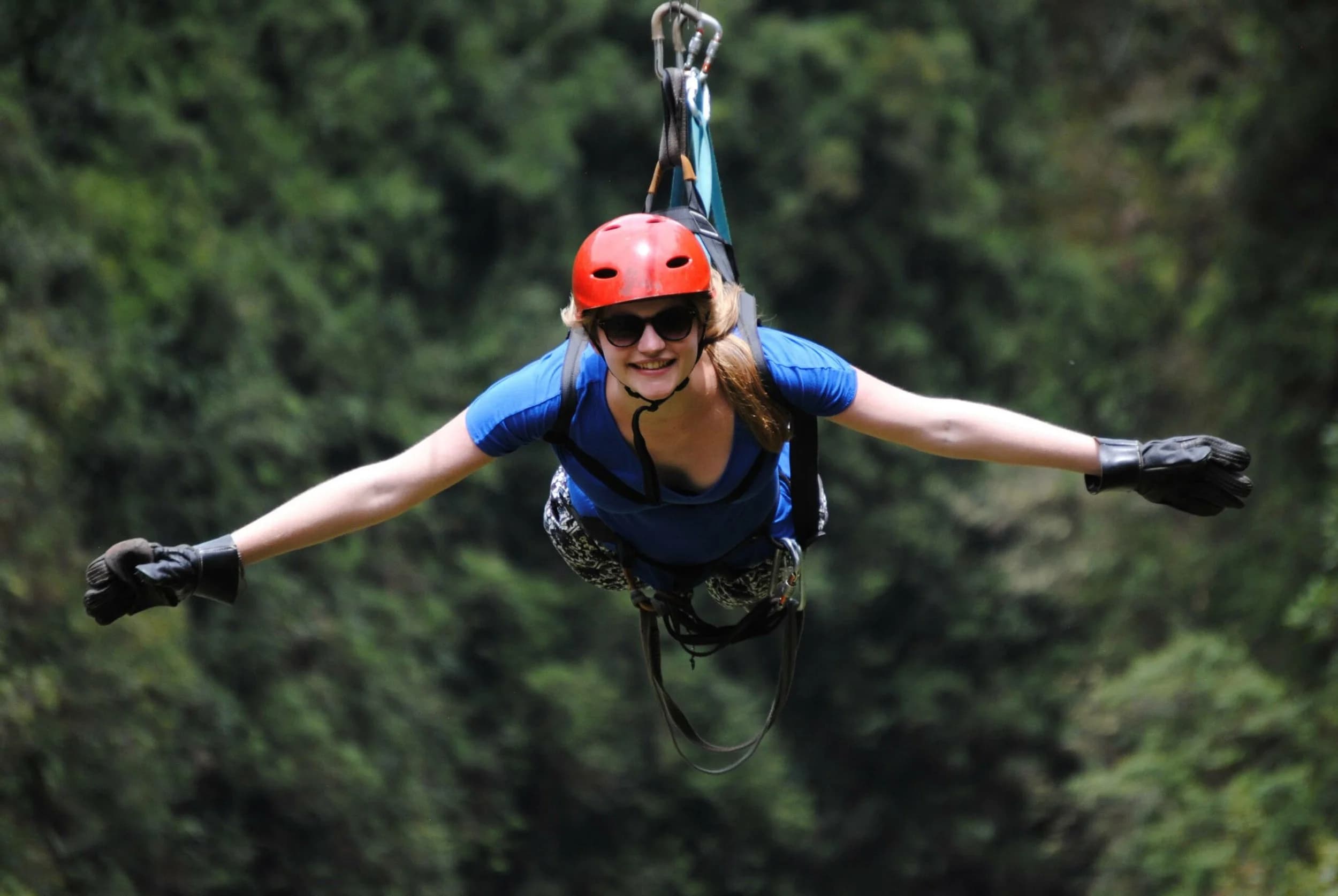Canopy